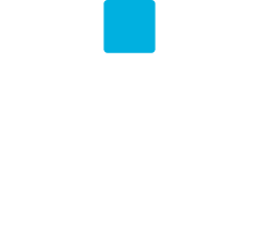 InSyBo logo