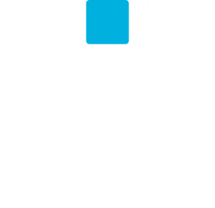 InSyBo logo